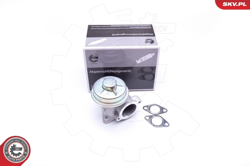 EGR Valve